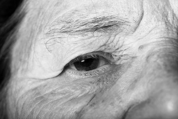 Portrait of elderly woman. Closeup. Toned