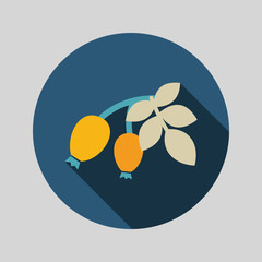 Rosehip branch with red berries flat icon