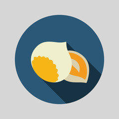 Nut flat icon. Fruit
