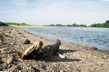 Flotsam at River Rhine / Duesseldorf