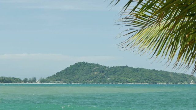4K Close up of coconut tree leaves or midrib with blue sky 