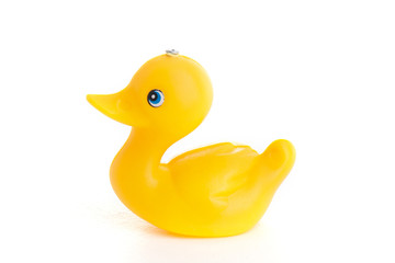 Yellow duck toy on white background 