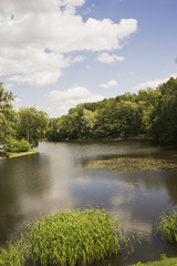 The lake in the Park in the summer.