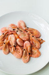 Shrimp on a white plate. Composition on white background