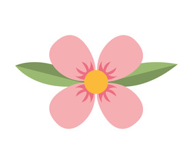 flower floral nature icon