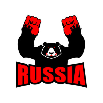 Russian bear. Angry big bear and Russian flag. Aggressive wild a