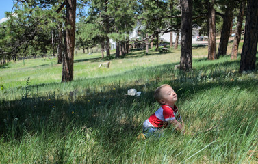 Little cowboy enjoying summer sunshine on his face in the forest in green tall grassy meadow with yellow and white flowers and pine trees on a beautiful sunny day.