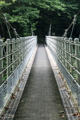 cable suspension bridge in Mt. Daisen, Torrori Pref. Japan
