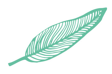 Vector illustration with leaf. Organic logo.