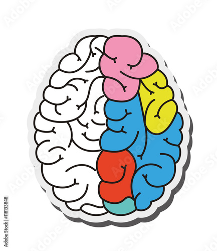 "flat design human brain cartoon icon vector illustration" Stock image