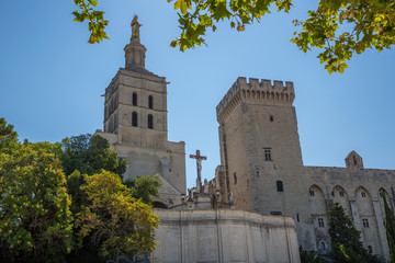 Cathédrale Notre-Dame des Doms et Palais des Papes d'Avignon
