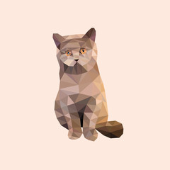 cat vector