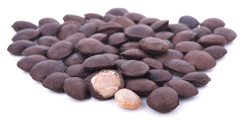 Roasted sacha inchi seeds