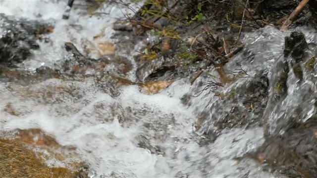 Close up slow motion panning shot of fresh natural spring water flowing over a bed of rocks and roots in a river in Colorado.
