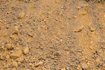 red laterite soil and rock texture with crumb of grass