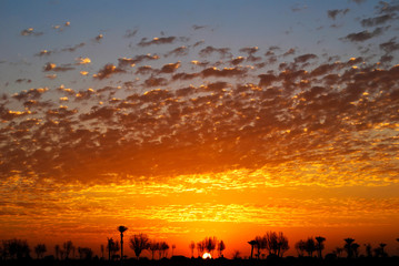 A spectacular, vivid sky at sunset