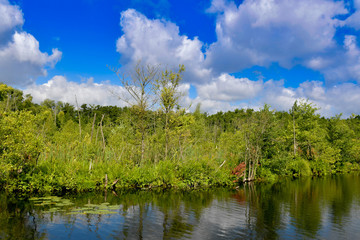 Seenlandschaft im Land Brandenburg