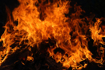 Flame texture as background. Stormy burning firewood in the dark.