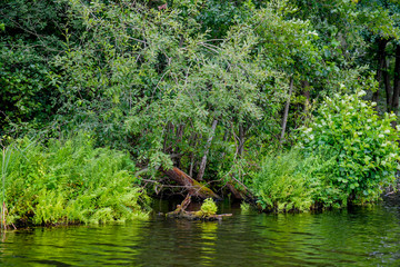 Seenlandschaft in Land Brandenburg
