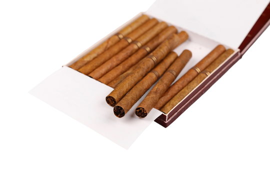 luxury cigarillos in box isolated on white