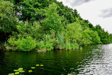 Fototapeta premium Seenlandschaft in Land Brandenburg
