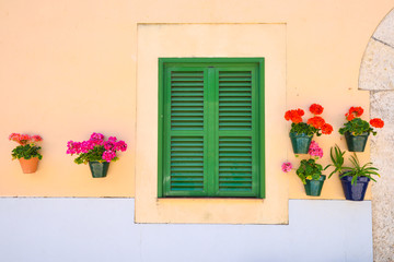 Green window shutters with a wall with flowers