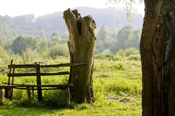 Bench in countryside