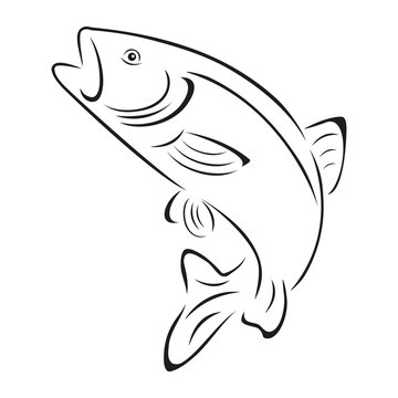 Forelle, Fisch, Logo, Angeln