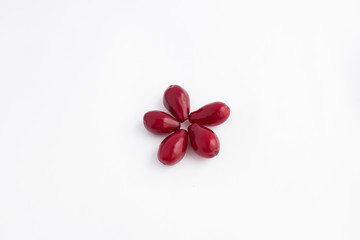 Dogwood berries on a white background