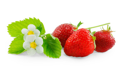 Three strawberry and flower isolated on white background