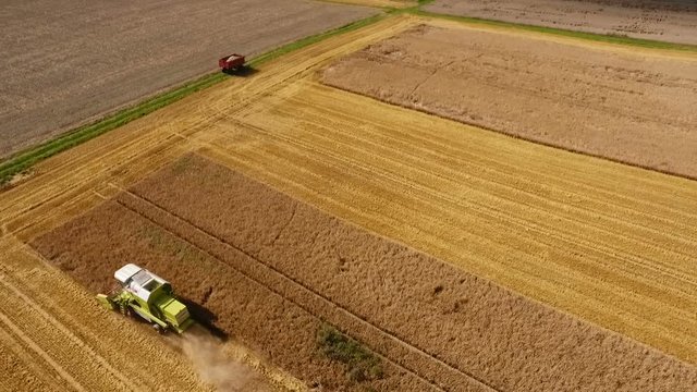 Combine harvester reaping a wheat field - aerial view