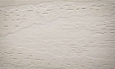 Texture. Wooden texture - wood grain