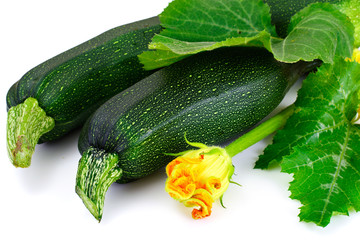 Fresh Green Zucchini with Leaves and Flowers