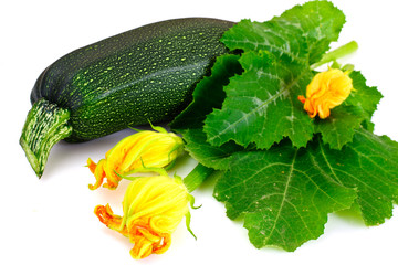 Fresh Green Zucchini with Leaves and Flowers