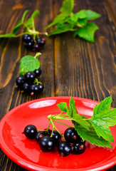 Fresh Juicy Blackcurrant