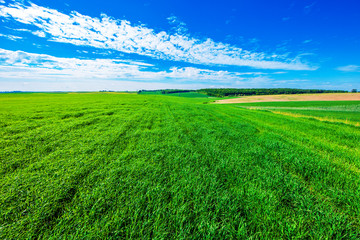 Green Field and Beautiful Sunset