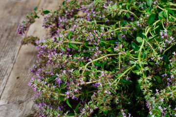 Flowers and Stems of Thyme
