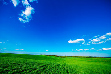 Obraz premium Green Field and Beautiful Sunset