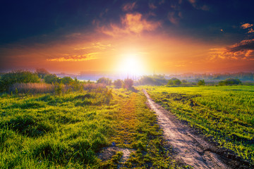 Green Field and Beautiful Sunset