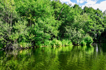 Fototapeta premium Seenlandschaft in Land Brandenburg