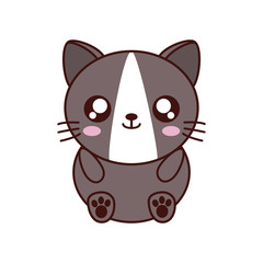 cat kawaii cute animal little icon. Isolated and flat illustration