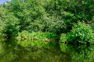 Seenlandschaft in Land Brandenburg