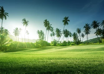 Photo sur Plexiglas Campagne sunset in jungle and grass