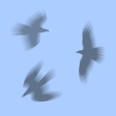 Birds, eagles vector eps 10 illustration. Simply made of black a