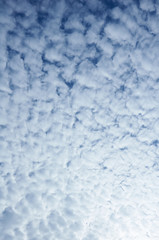 Sky full of white fluffy clouds