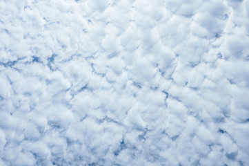 Fototapeta na wymiar Sky full of white fluffy clouds