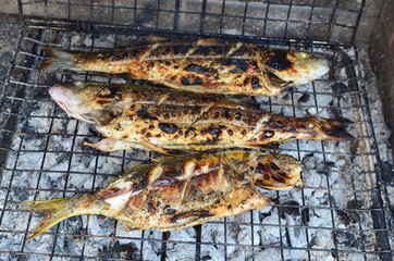 Sea fish on a grill