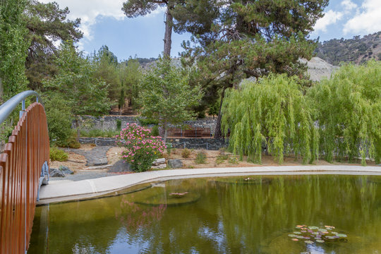 Bridge and Pond at the Troodos Botanical Gardens