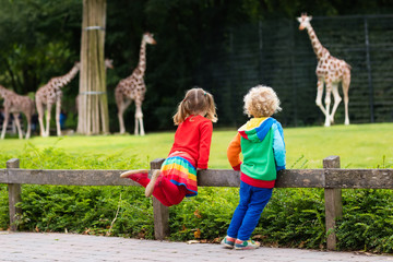 Kids watching giraffe at the zoo - obrazy, fototapety, plakaty