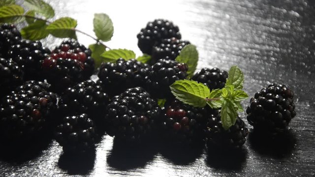 Rubus ulmifolius Brijestolisna kupina Ежевика вязолистная More Macchiabj&ouml;rnb&auml;r Mittelmeer-Brombeere Zarzamora Jalavakarhunvatukka Zarza